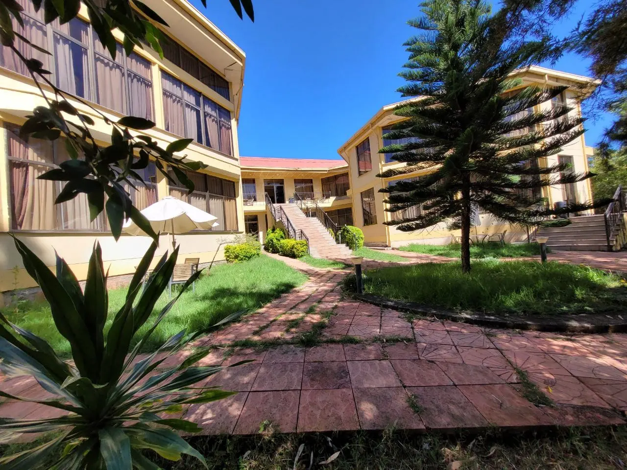 Brick-paved path between two-storey guest buildings with a tall pine tree