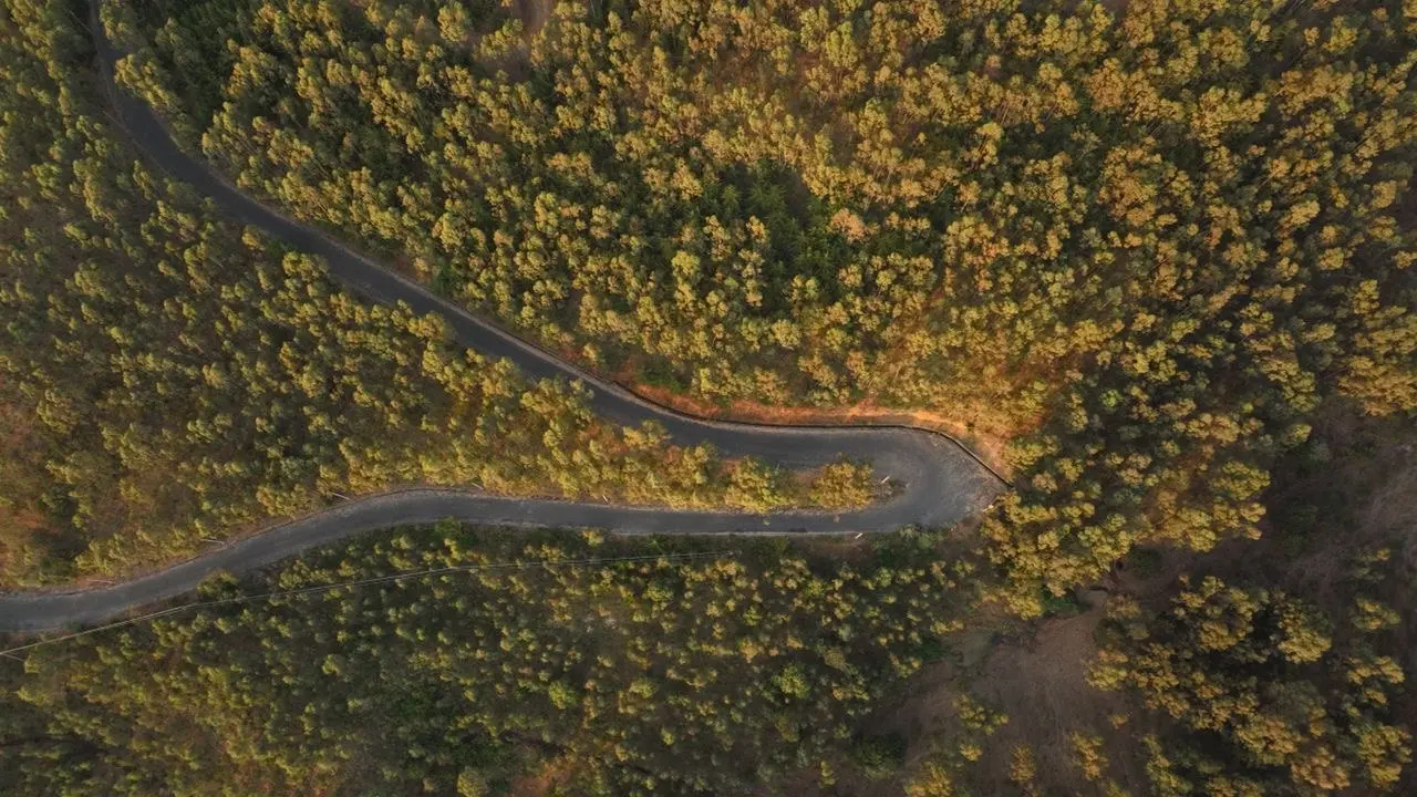 Aerial view of a winding road through a forested hillside
