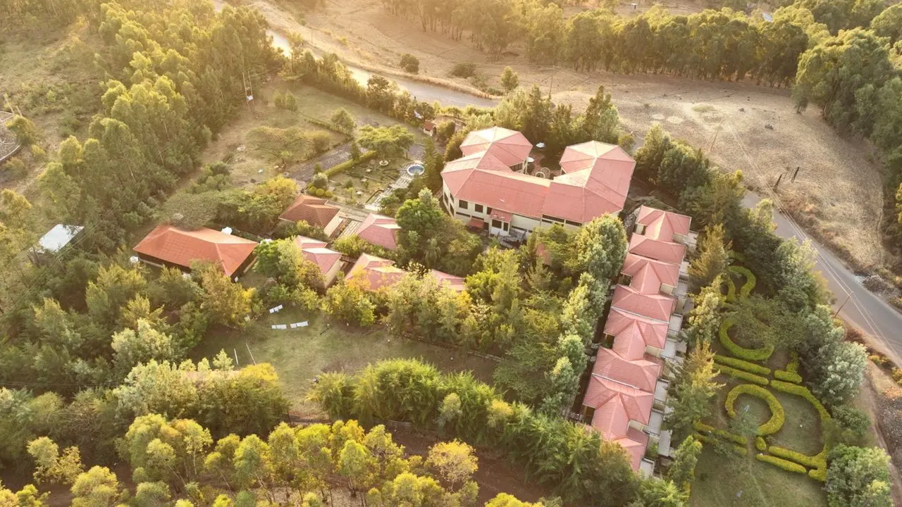 Aerial view of red-roofed buildings and patterned hedges among the trees