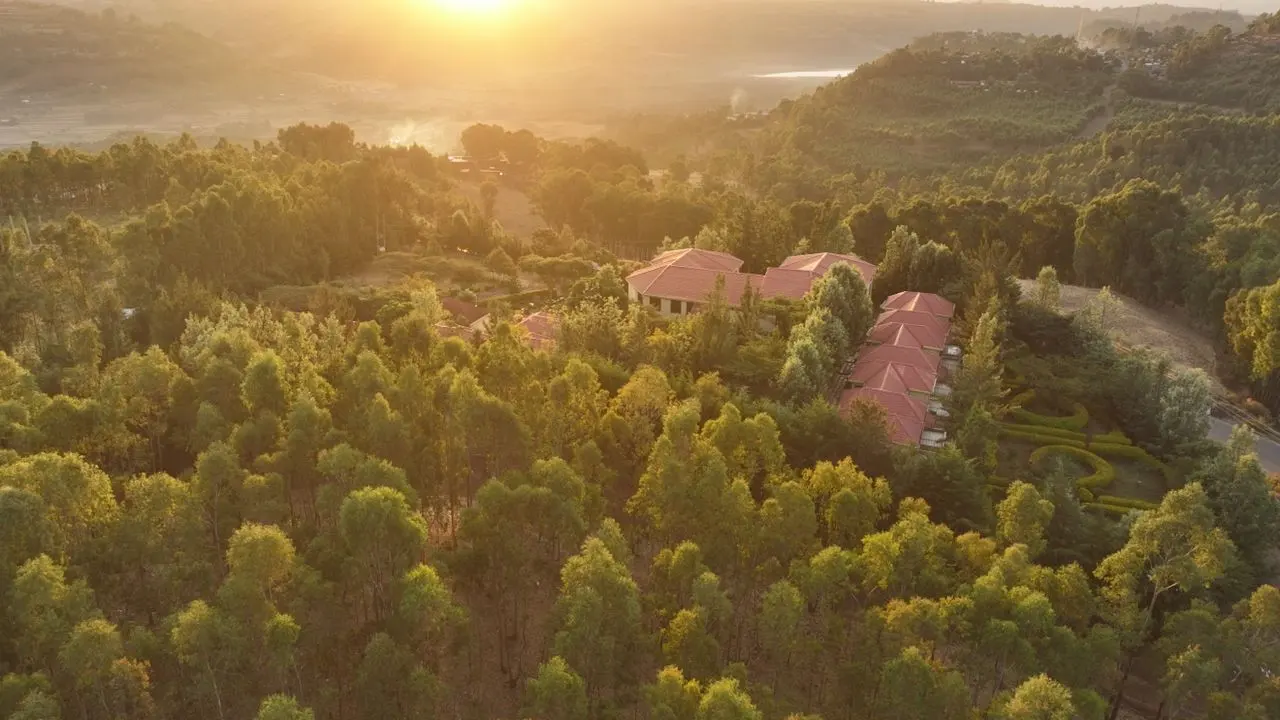 Sunrise light over the resort's red roofs and the surrounding eucalyptus trees