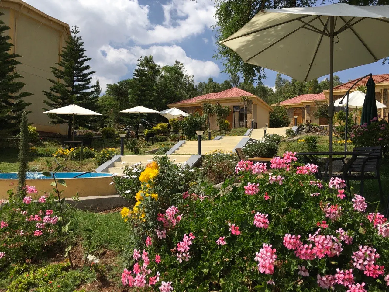 Pink geraniums in the foreground with patio umbrellas and red-roofed villas behind